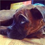 daycare pic 9 - audrey